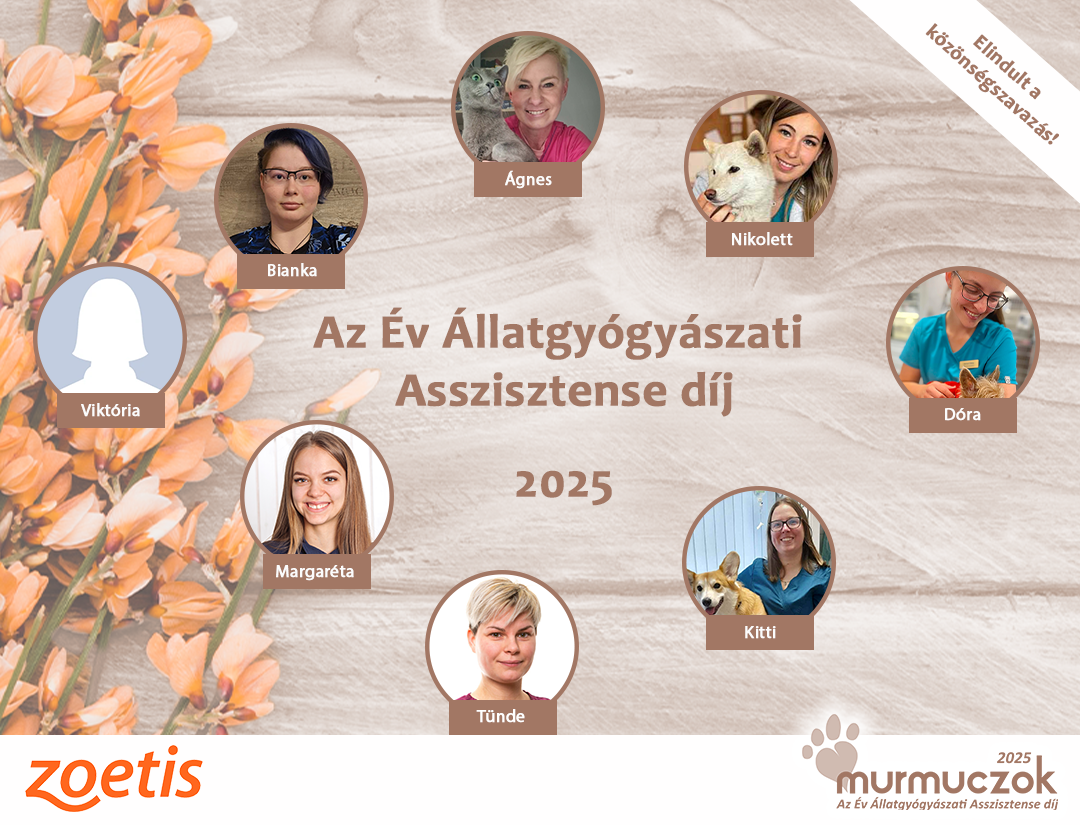 dijalapitas_jeloltek_ossze s_25_elindult_a_kozszav