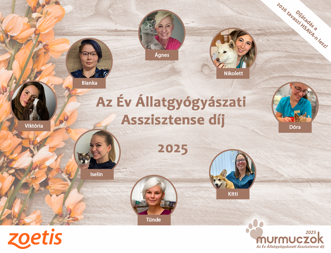 osszes_25_a_hsavan_lesz